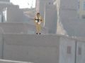 Gioco Operazione da cecchino  in linea