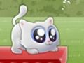 Gioco Gattino estrema  in linea