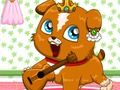 Gioco Roulette per animali domestici in linea
