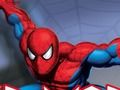 Gioco Spider Warrior in linea