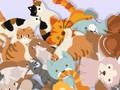 Gioco Trova il gattino  in linea