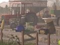 Gioco Hog Farm in linea