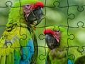Gioco Foresta pluviale del puzzle  in linea