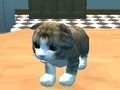Gioco Cat Simulator: Kitty Craft! in linea