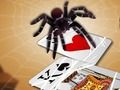 Gioco Saltare ragno in linea