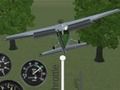 Gioco Real Flight Simulator 2 in linea