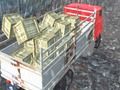 Gioco Autista di camion fuoristrada  in linea