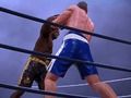Gioco Boxing Club in linea