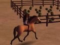 Gioco Spirito: Reite Los!  in linea