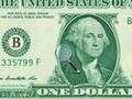 Gioco Rivelatore di denaro: dollari  in linea