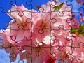 Gioco Jigsaw Puzzle: fiori  in linea