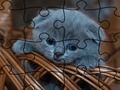 Gioco Jigsaw Puzzle: gatti  in linea