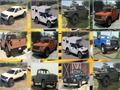 Gioco Memoria Ford F 150 in linea