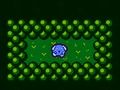 Gioco Catturare  in linea