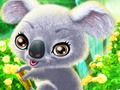 Gioco Koala felice  in linea