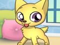 Gioco Studio per animali domestici della principessa  in linea