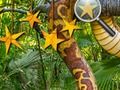 Gioco Stelle nascoste della giungla  in linea