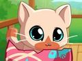 Gioco My Pocket Pets Cat Kitty  in linea
