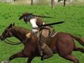 Gioco Simulatore di equitazione in linea Gioco Simulatore di equitazione in linea