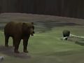 Gioco Orso  in linea