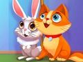 Gioco La mia clinica per animali domestici  in linea