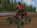 Gioco Gare di moto quad  in linea