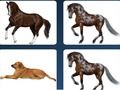 Gioco Problema di memoria dell'animale domestico  in linea