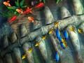 Gioco Re della pesca  in linea