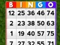 Gioco Bingo in linea
