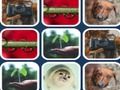 Gioco Problema di memoria  in linea