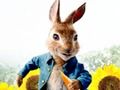 Gioco Peter Rabbit: Problemi nel labirinto  in linea