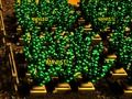 Gioco Pixel Farm in linea