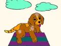 Gioco Animali da colorare  in linea