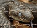 Gioco Serpenti misteriosi: puzzle  in linea