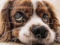 Gioco Puzzle di cani divertenti in linea Gioco Puzzle di cani divertenti in linea