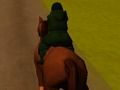 Gioco Cavallo da salto 3d  in linea
