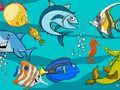 Gioco Differenze di pesce  in linea