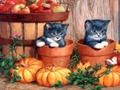 Gioco Pittura di Halloween  in linea