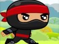 Gioco Ninja in linea