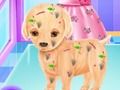 Gioco Chirurgia per cuccioli di elsa in linea