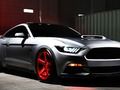Gioco Mustang quotidiano  in linea