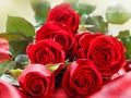 Gioco Rose rosse  in linea