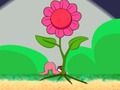 Gioco Amante worm in linea
