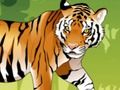 Gioco Tigre arrabbiata da colorare  in linea