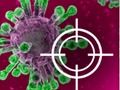 Gioco Distruggi il virus  in linea
