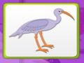 Gioco Memoria Per Bambini Con Gli Uccelli  in linea