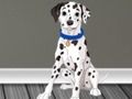 Gioco Veterinary Doctor Escape 2 in linea