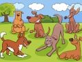 Gioco Differenze di animali  in linea
