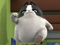 Gioco Puzzle di Agent Binky Pets of the Universe  in linea