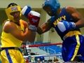 Gioco I pugili arrabbiati combattono in linea Gioco I pugili arrabbiati combattono in linea